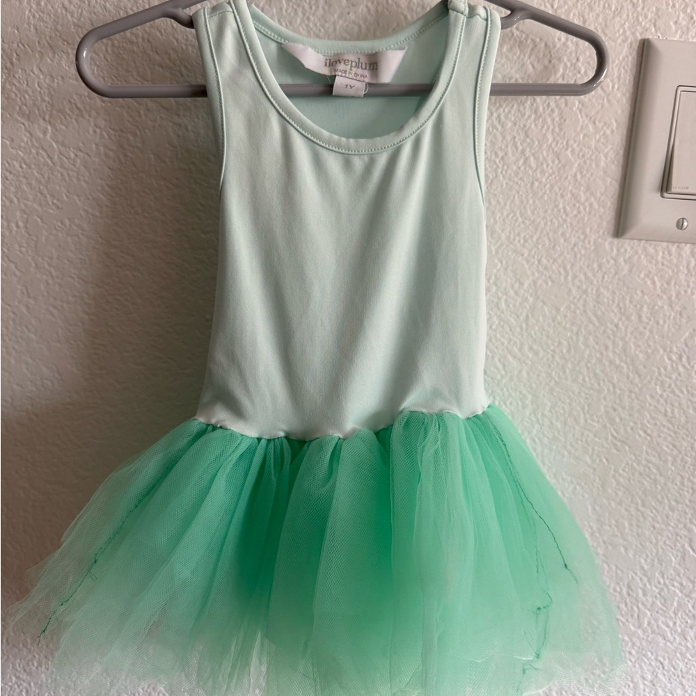 Mint Green I love plum mint sea foam green tutu 1 year old size